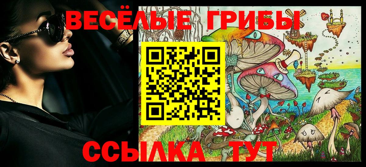 Галлюциногенные грибы Psilocybine cubensis  Вход с VPN  Рославль 
